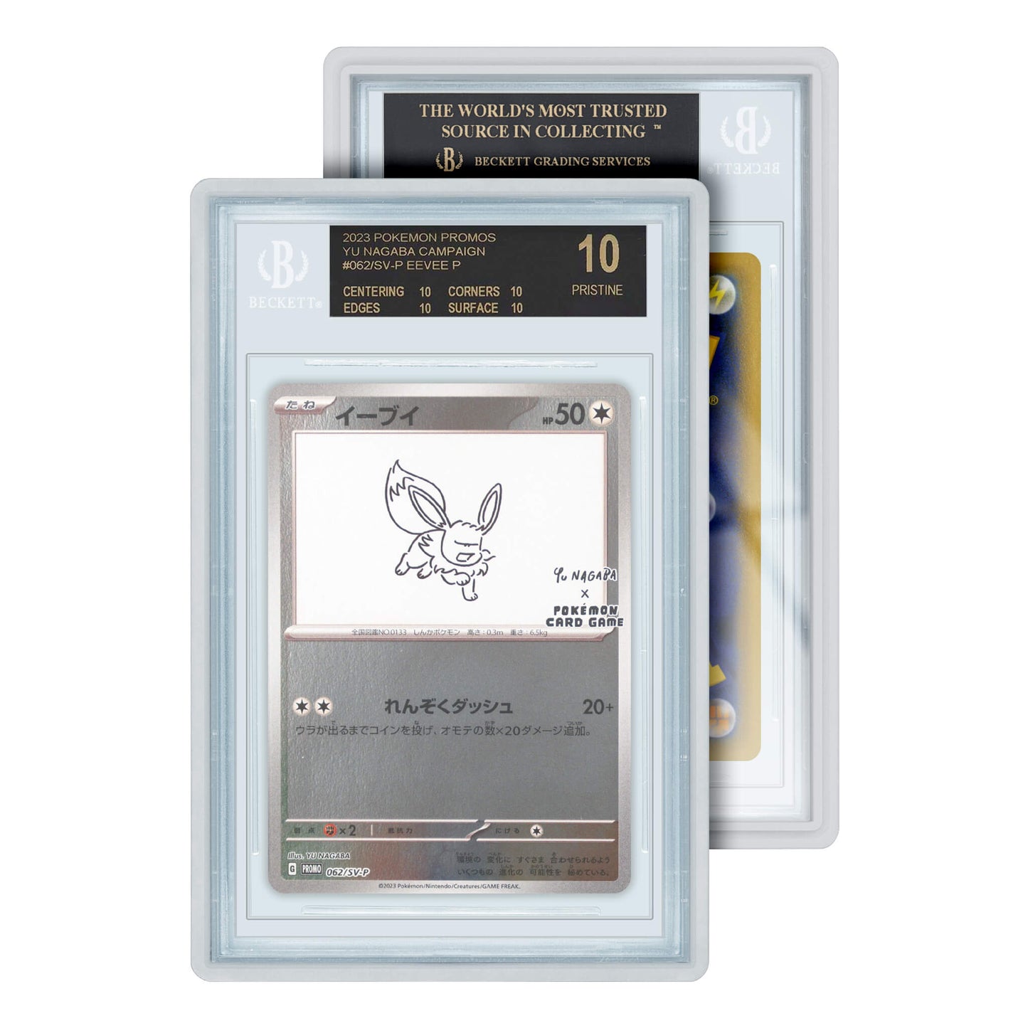 BGS Standard Graded Guard Case
