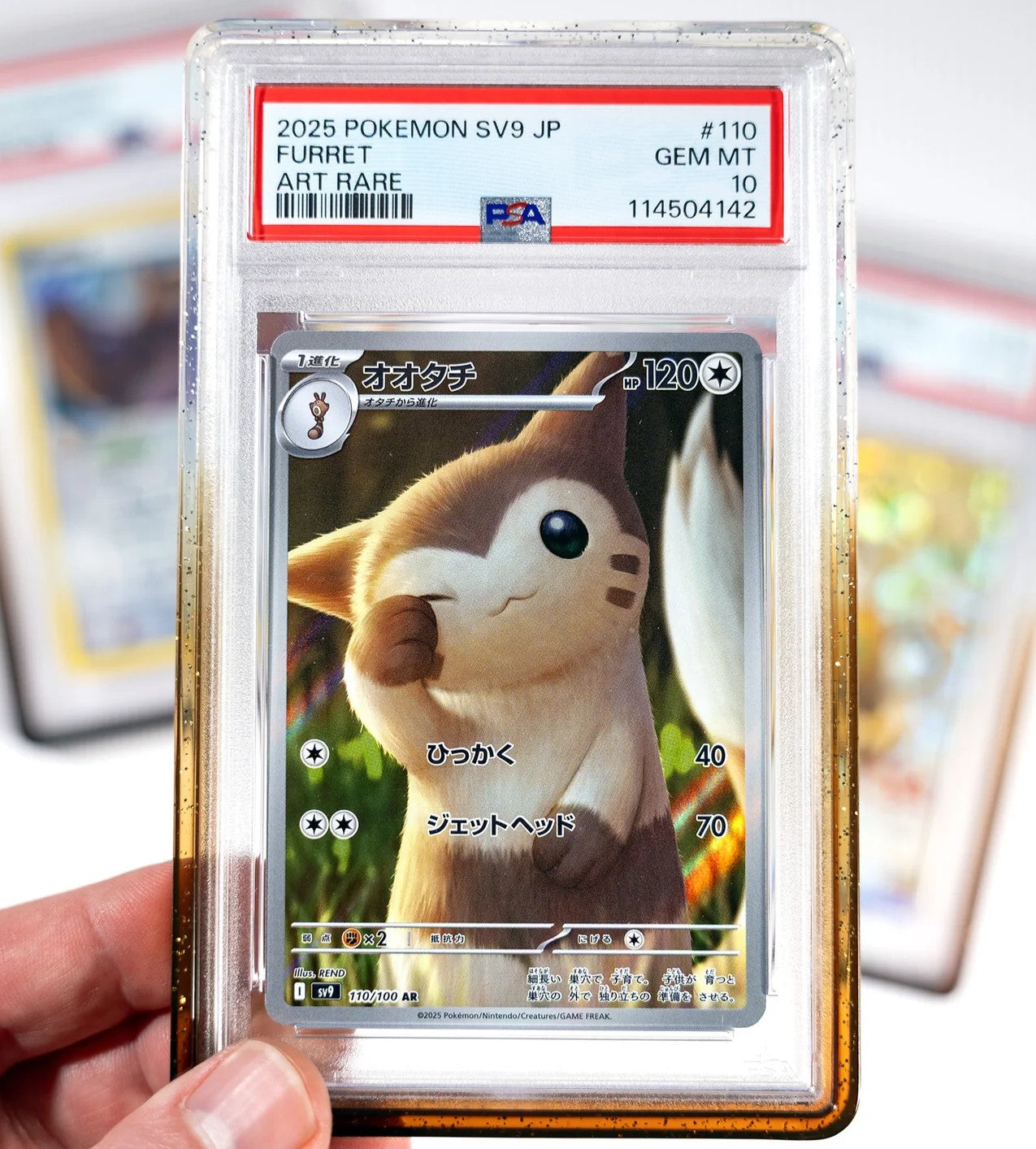 GradedGuard Cola PSA Limited Case (Pre-Order)