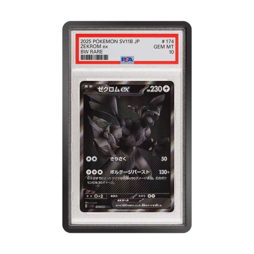 GradedGuard Obsidian PSA Limited Case (Vorbestellung)