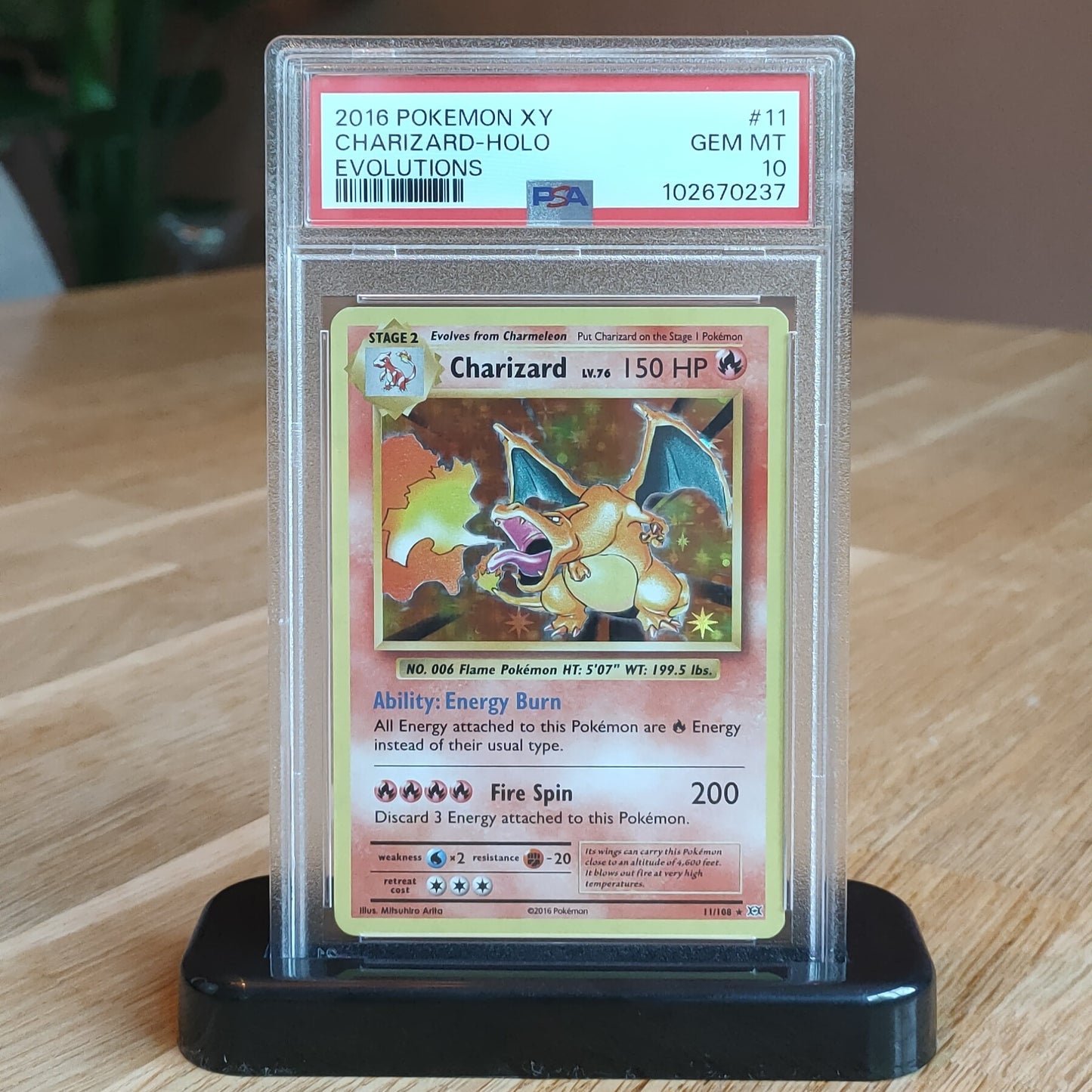 PSA Premium Kartenständer Schwarz