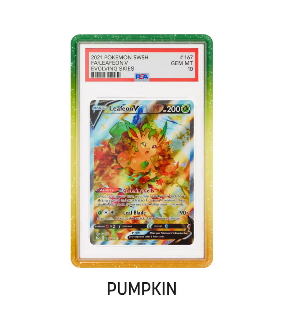 Secondary Limited PSA GradedGuard Case