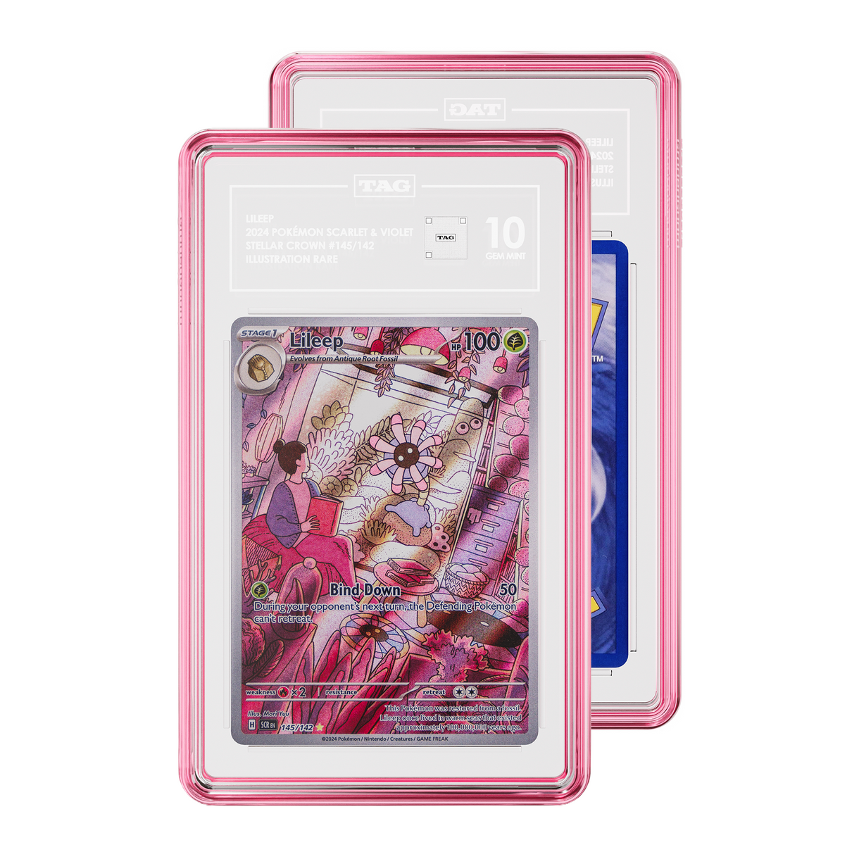 Jewel GradedGuard Case