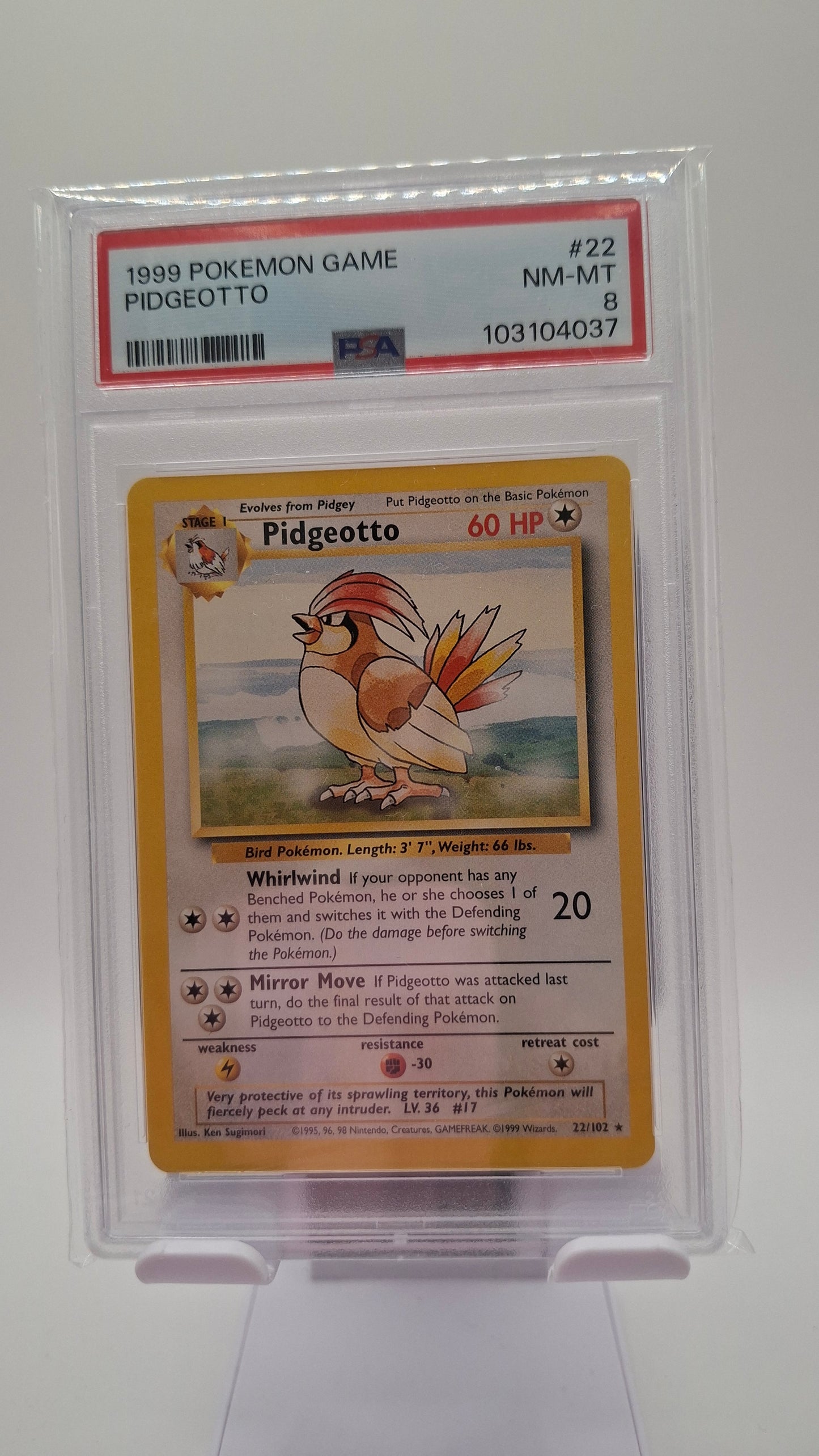 Base Set Pidgeotto 22 PSA 8