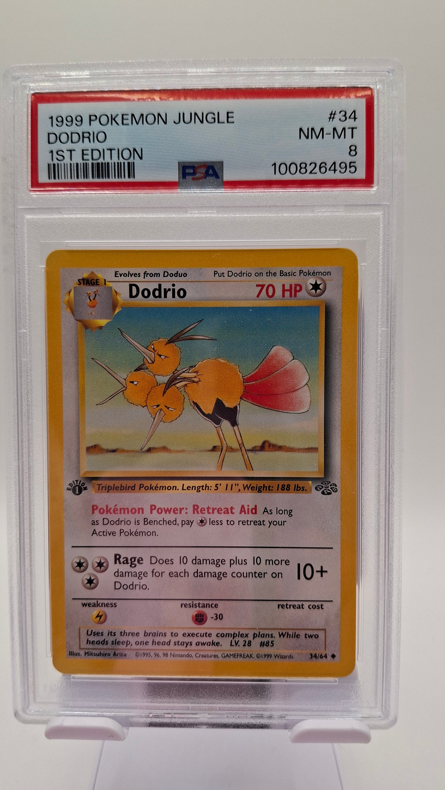 Dodrio 1st ed 34 PSA 8